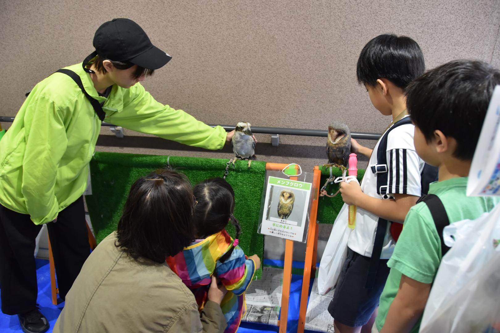 ふれあい動物園