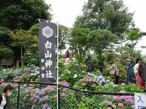 白山