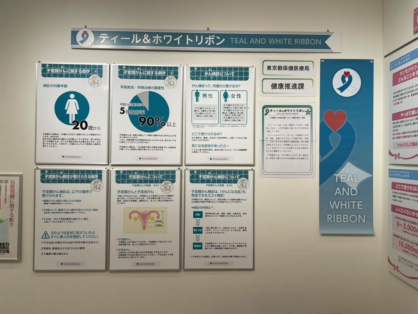 ティールアンドホワイトリボン展示