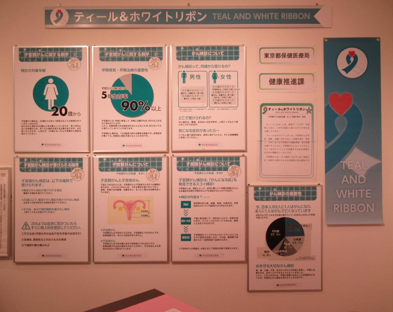 ティールアンドホワイトリボン展示