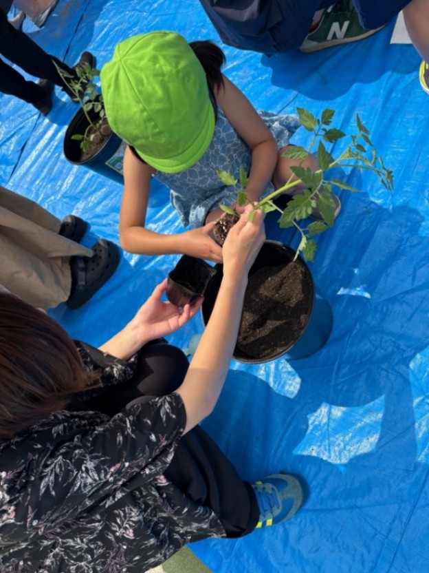 ミニトマトの苗を植える子ども