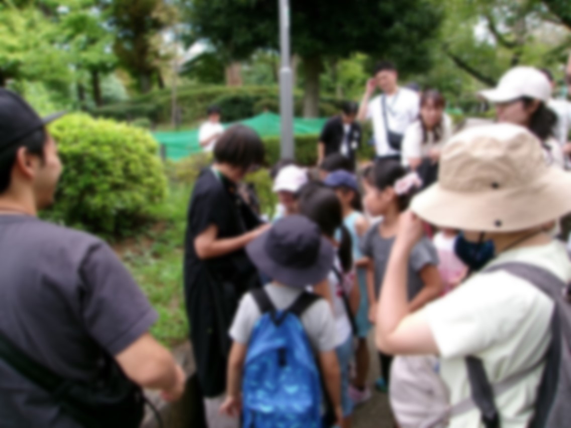 令和7年度自然散策会5