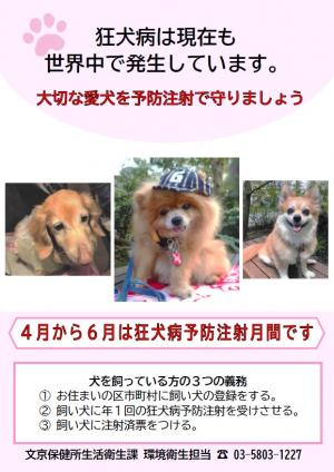 狂犬病予防注射チラシ