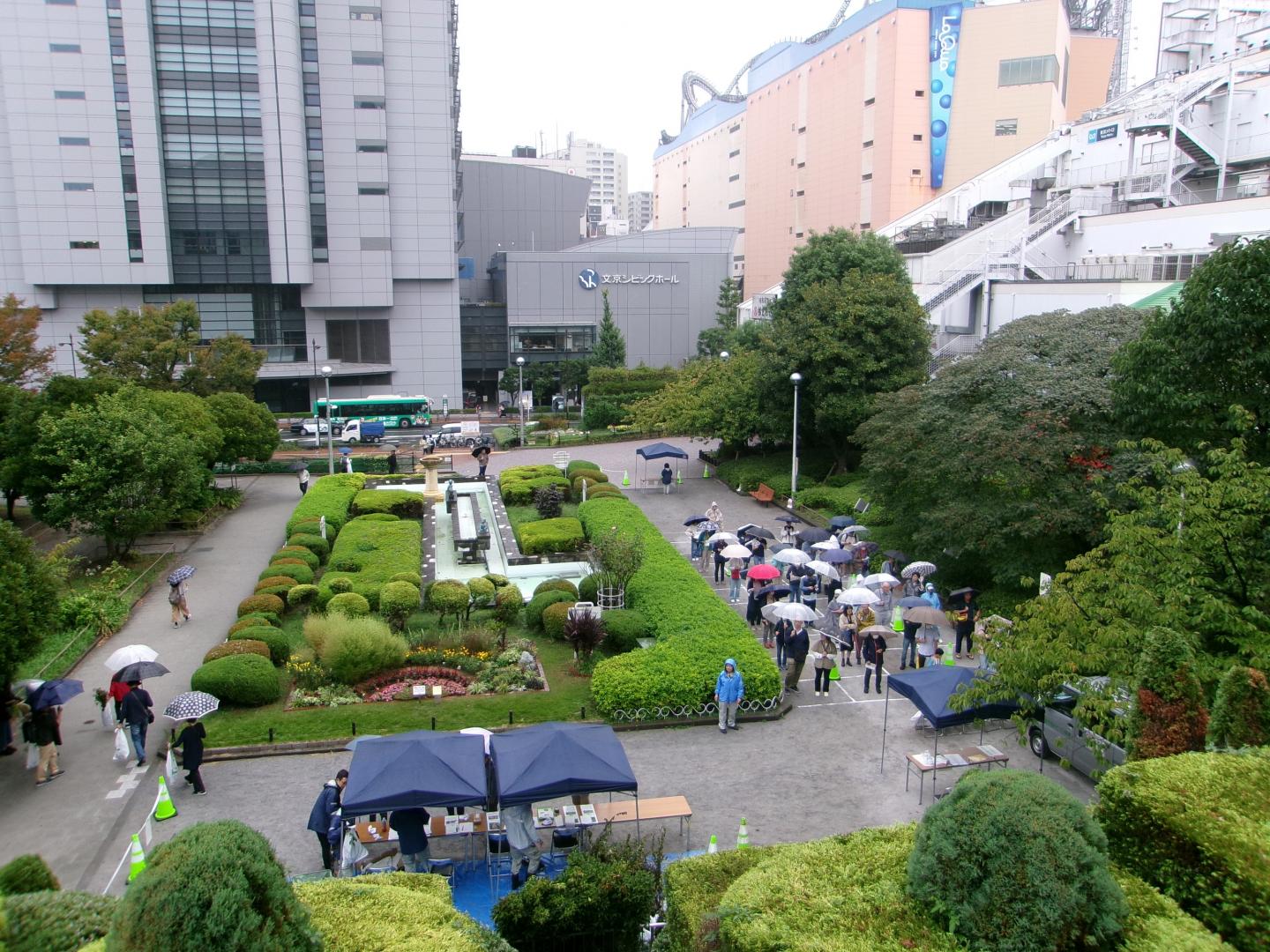 令和7年度苗木配布事業2