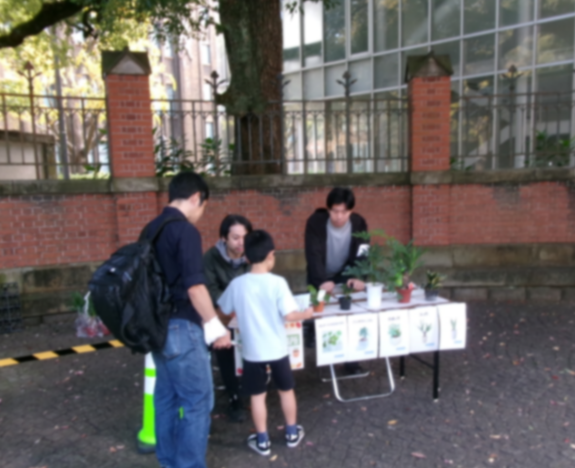 令和7年度木のクイズラリーin東大画像4