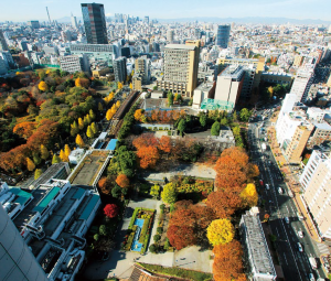 画像：眼下に礫川公園を、その右下が当アパート。