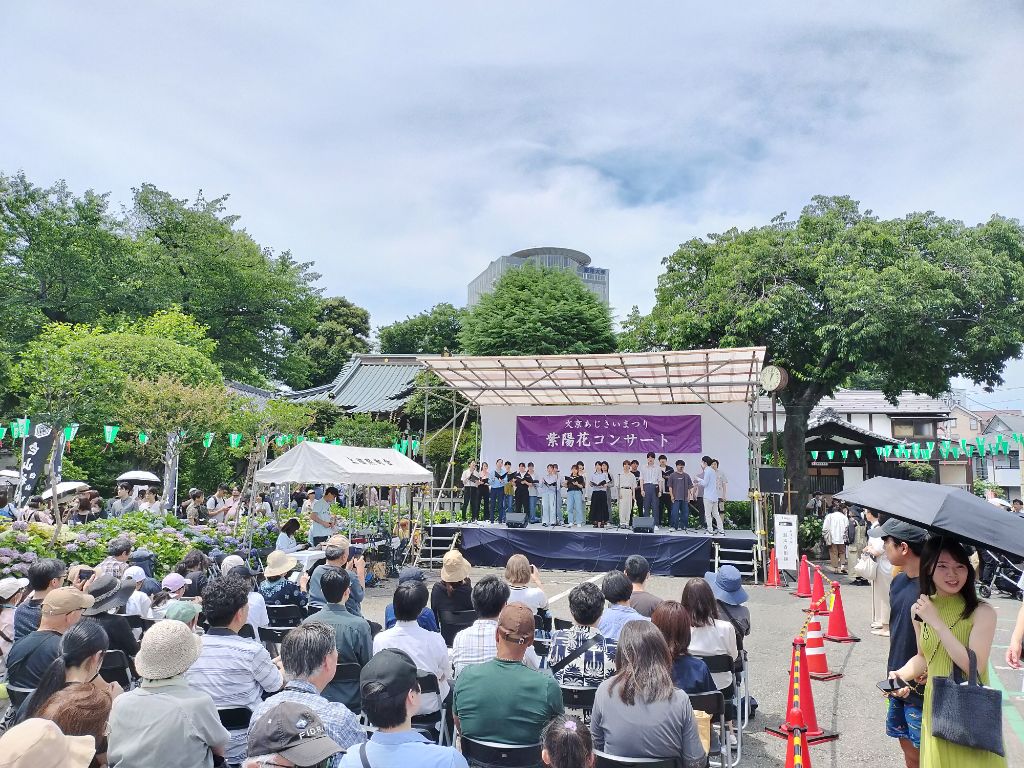 文京あじさいまつりの様子