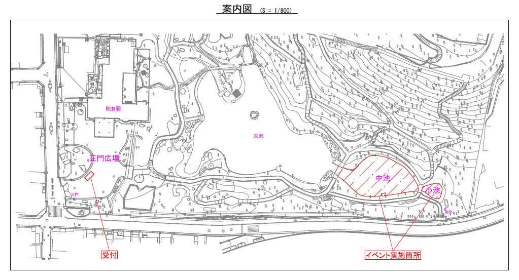 中池小池