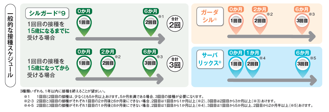 HPVワクチン定期予防接種対象者接種間隔