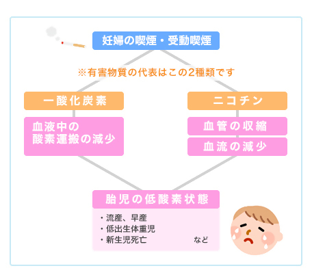 喫煙による胎児・赤ちゃんへの健康影響の図