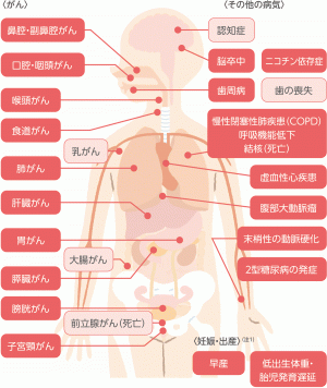 たばこが関係する主な病気の画像