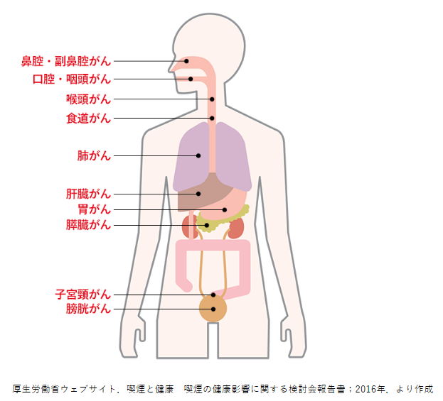 喫煙している本人がなりやすいがんの種類の図