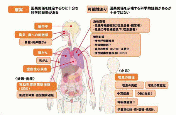 受動喫煙による健康への影響の画像