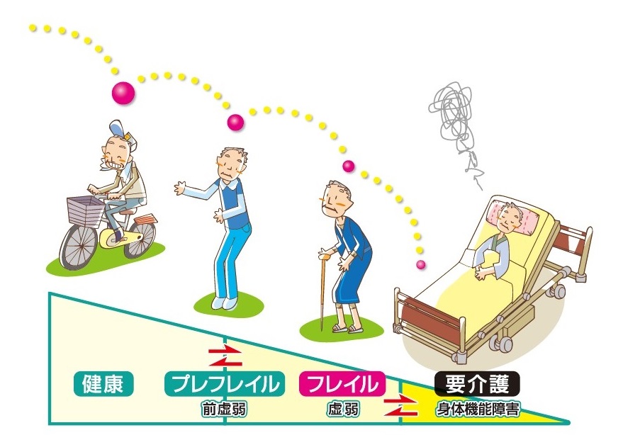 健康とフレイルと要介護状態のイメージ図