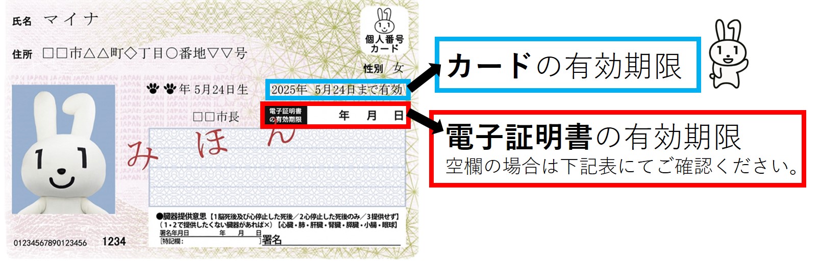 マイナンバーカード券面の各有効期限