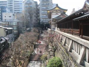 令和5年2月12日（日曜日）梅2