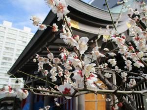 令和5年2月17日（金曜日）梅1