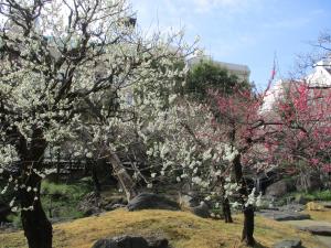 令和5年2月17日（金曜日）梅2