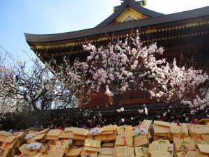 令和6年2月20日（火曜日）梅2