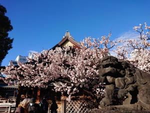 令和6年2月26日（月曜日）梅5