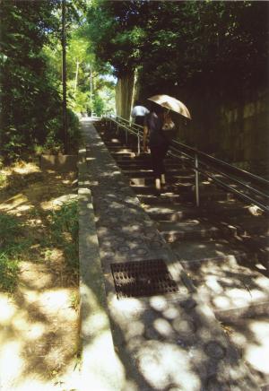 特選「日差し」