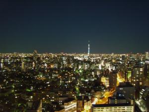 東側ではスカイツリーなどの美しい夜景