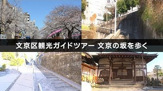 文京の坂を歩く