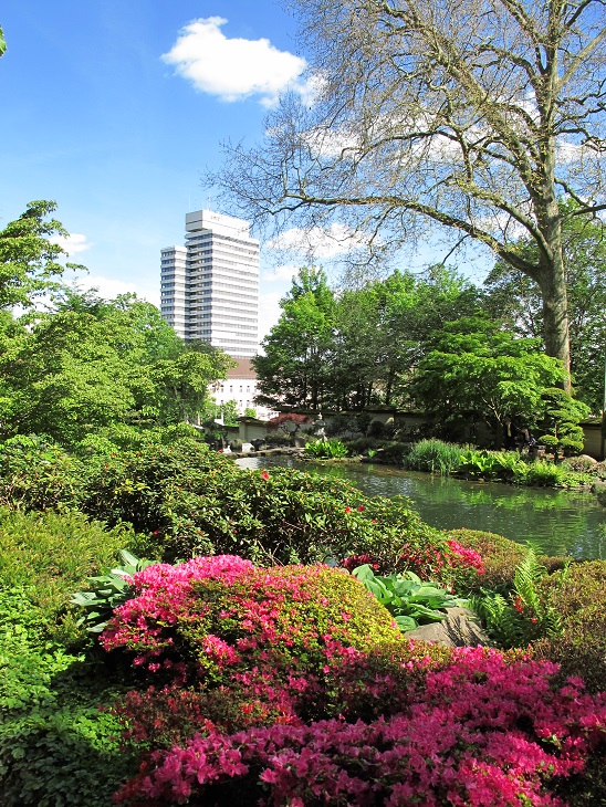 日本庭園の画像