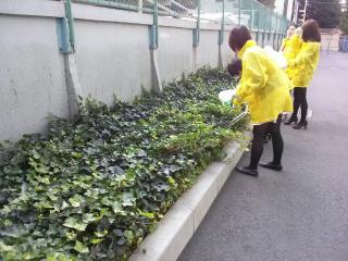 跡見エコキャンパス研究会の活動風景の写真