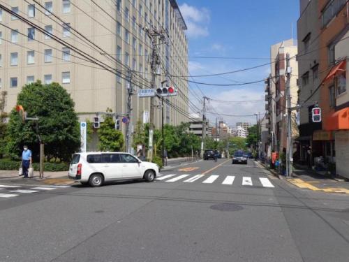 日医大つつじ通り写真