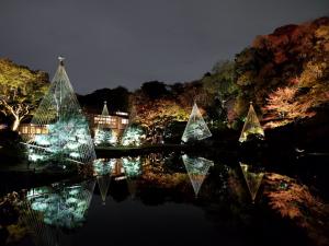 紅葉とライトアップの様子