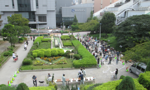 写真：上から見た苗木配布の風景