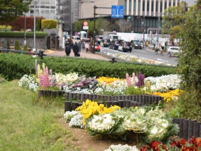 後楽園駅入り口の横の花壇の写真1