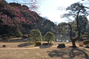 池周辺の風景