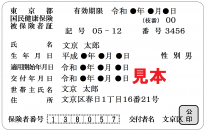 枝番号印字保険証見本