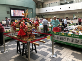 矯正展の会場の様子