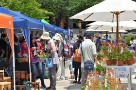 鉢植え販売の様子