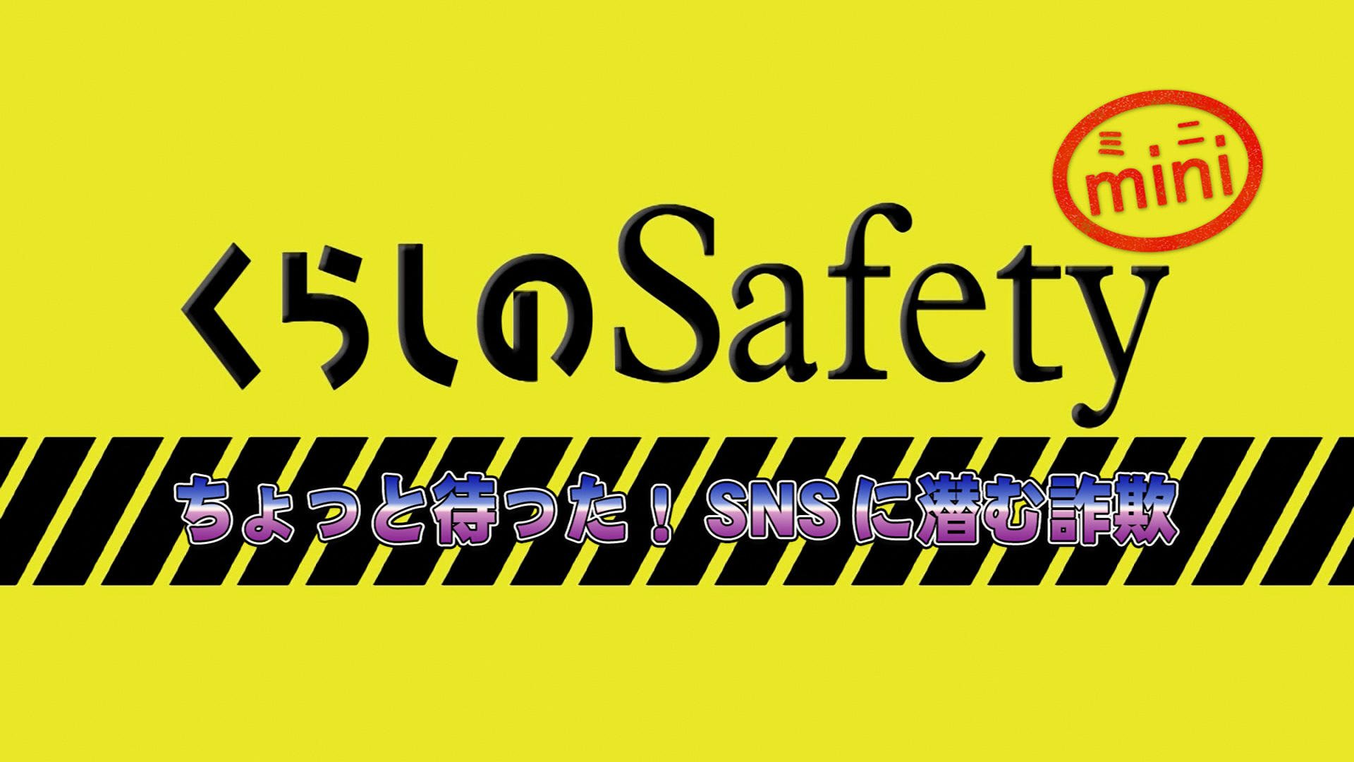 くらしのSafetyミニの画像