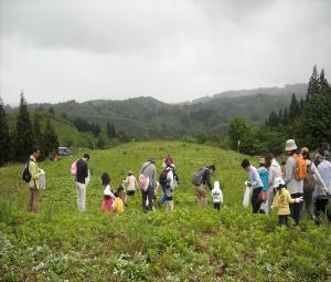 田植えの写真