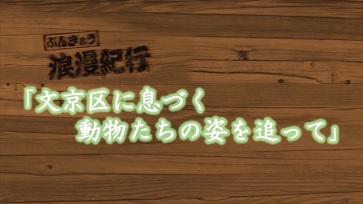 文京区に息づく動物たちの姿を追って