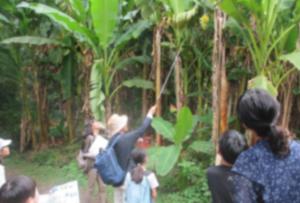 令和6年度自然散策会（小石川植物園）2