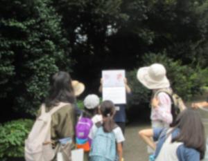 令和6年度自然散策会（小石川植物園）3