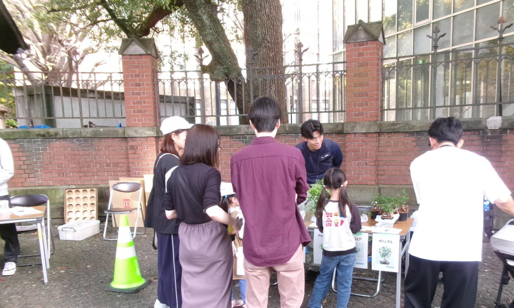 子供たちが観葉植物を選ぶ様子